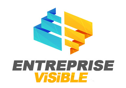 entreprise visible pavage avocat assurance macon electricien plombier-paysagiste