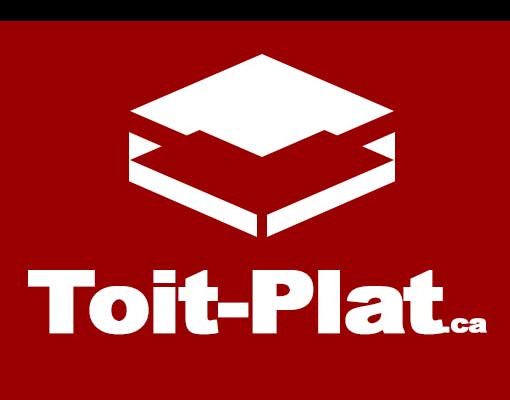 toit plat entreprise